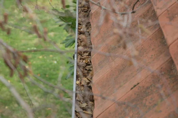 Gouttière Pleine Vieilles Feuilles Automne Saleté — Photo