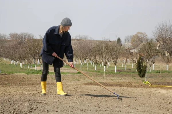 Agricultor Usando Rastrillo Para Crear Una Fina Capa Superior Sucio — Foto de Stock