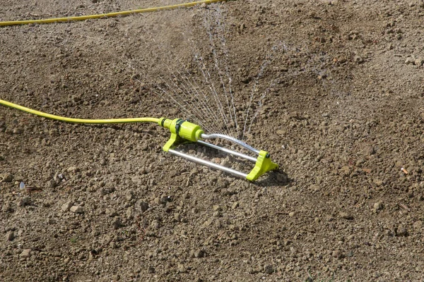 Process Watering Grass Seeds Soil Planting Grass Process Sowing Growing — Stock Photo, Image