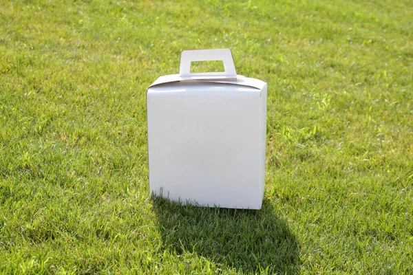 Unmarked Blank White Cardboard Box Green Grass Package Mock — Stockfoto