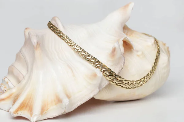 Золотая Цепь Ожерелье Морском Фоне Оболочки Фотография Ювелирной Моды — стоковое фото