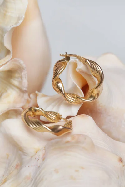 Küpe Ürünü Vuruşu Deniz Kabuğunda Altın Halkalar Mücevher Moda Fotoğrafçılığı — Stok fotoğraf