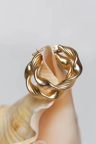 Earrings Product Shot Golden Hoops Marine Shell Background Jewelry Fashion — Φωτογραφία Αρχείου