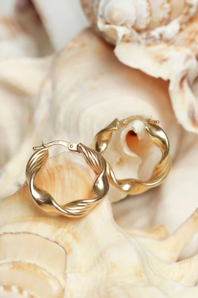 Earrings Product Shot Golden Hoops Marine Shell Background Jewelry Fashion — Fotografia de Stock