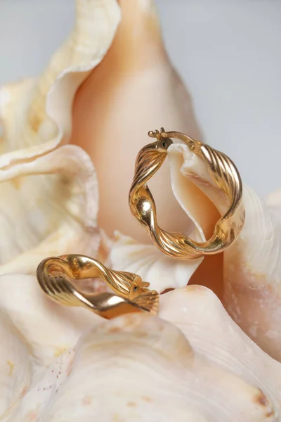 Earrings Product Shot Golden Hoops Marine Shell Background Jewelry Fashion — Stok fotoğraf