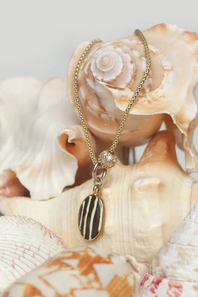 Necklase Product Shot Gold Necklace Pendant Marine Shell Background Jewelry — Fotografia de Stock