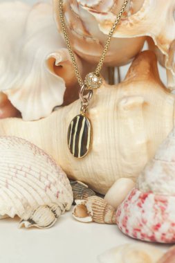 Necklase ürün çekimi. Deniz kabuğu arka planında yuvarlak kolyesi olan altın bir kolye. Mücevher moda fotoğrafçılığı..