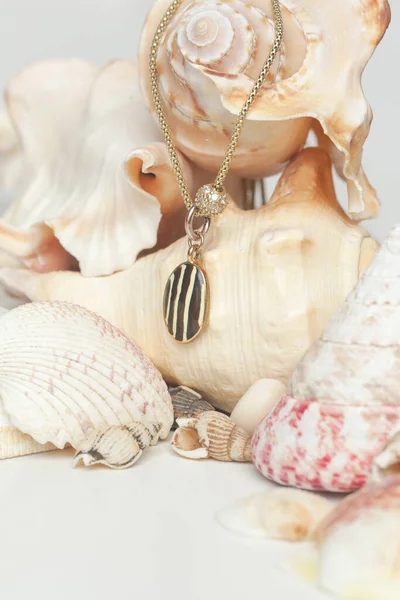 Necklase Product Shot Gold Necklace Pendant Marine Shell Background Jewelry — стоковое фото