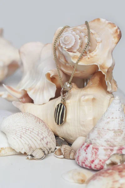 Выстрел Ожерелья Золотое Ожерелье Круглым Кулоном Фоне Морской Раковины Фотография — стоковое фото