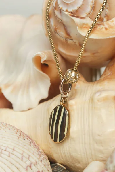 Necklase Product Shot Gold Necklace Pendant Marine Shell Background Jewelry — Stok fotoğraf