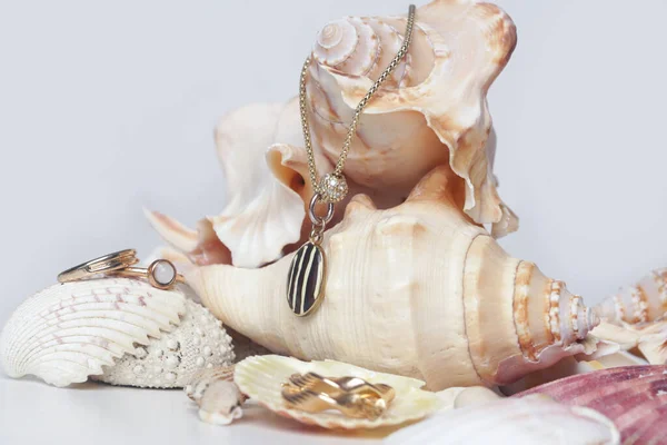 Deniz Kabuğundaki Altın Mücevherler Mücevher Moda Fotoğrafçılığı — Stok fotoğraf