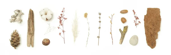 秋天元素的集合 秋天的季节组成与各种元素 栗子和石子 基于白色背景的设计小精灵 — 图库照片