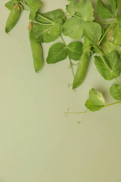 Pois Verts Biologiques Fraîchement Récoltés Sur Table — Photo