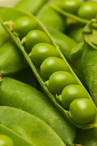 Guisantes Verdes Orgánicos Recién Cosechados Mesa — Foto de Stock