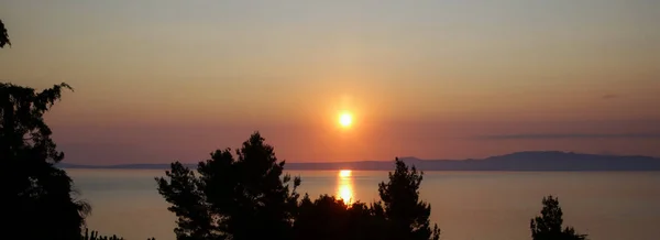 Tramonto Sulle Cime Degli Alberi Sull Orizzonte Marino — Foto Stock