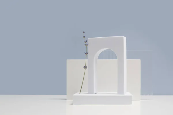 Abstrakte Minimale Moderne Szene Modernes Set Aus Verschiedenen Geometrischen Formen — Stockfoto