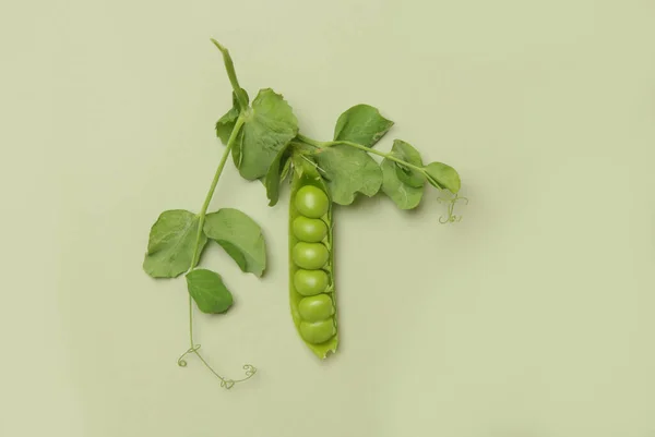 Ervilhas Verdes Orgânicas Recém Colhidas Cima Mesa — Fotografia de Stock