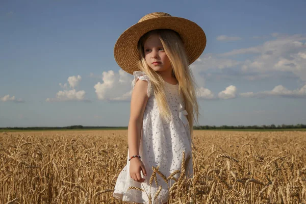 Menina Adorável Vestido Branco Campo Trigo — Fotografia de Stock