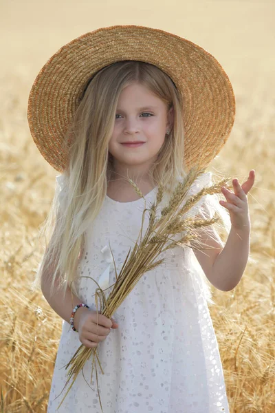 Adorable Little Girl White Dress Wheat Field — 图库照片