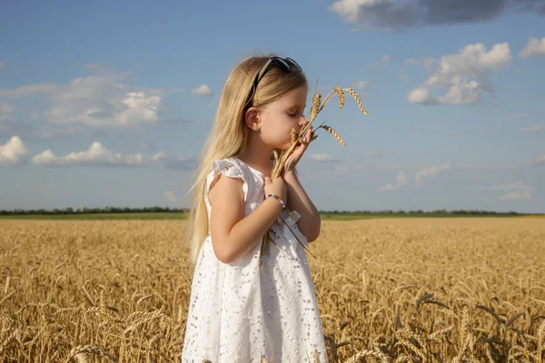 Adorable Little Girl White Dress Wheat Field — Fotografia de Stock