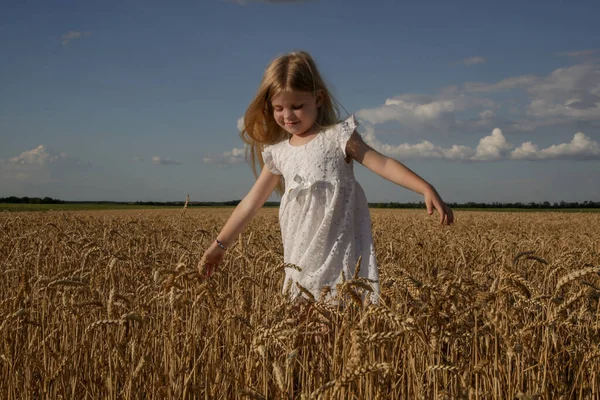 Menina Adorável Vestido Branco Campo Trigo — Fotografia de Stock