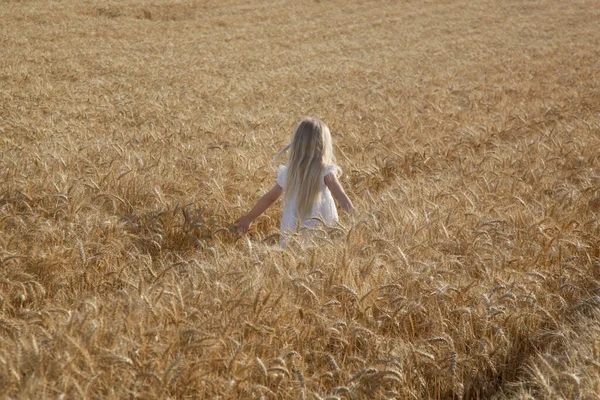 Menina Adorável Vestido Branco Campo Trigo — Fotografia de Stock