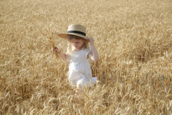 Adorable Little Girl White Dress Wheat Field — Zdjęcie stockowe