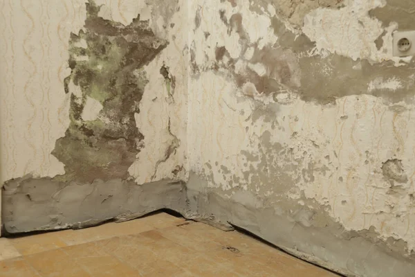 Moisture Damage Wall Old House Newly Installed Insulation Polyethylene Barriers — Fotografia de Stock