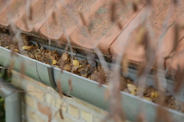 Gouttière Pleine Vieilles Feuilles Automne Saleté — Photo