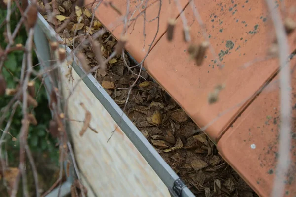 Dachrinne Voller Alter Herbstblätter Und Dreck — Stockfoto