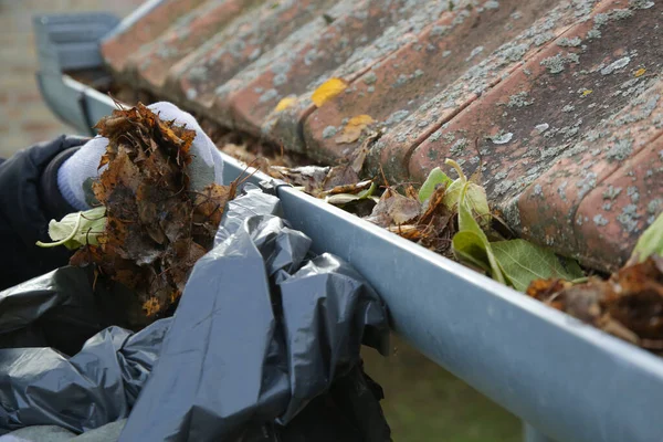 Cleaning the gutter from autumn leaves before winter season. Roof gutter cleaning process.