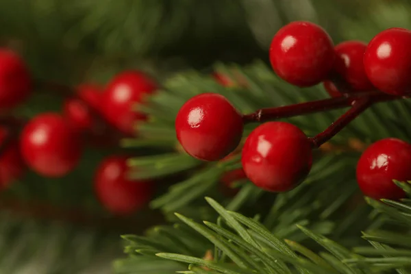 Julgransgrenar Med Röda Bär Närbild — Stockfoto