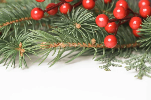 Christmas Tree Branches Red Berries Close — Stock Photo, Image