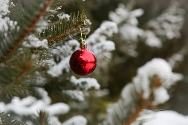 Outdoor Weihnachtsbaum Mit Schnee Bedeckt Und Mit Weihnachtskugeln Geschmückt Ferien — Stockfoto