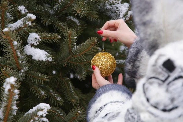 Woman decorating outdoor Christmas tree with golden Christmas bubble. Holidays and winter concept.