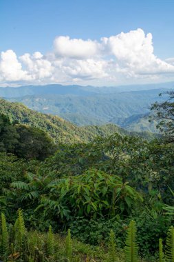 Nan, Tayland 'ın Kuzey Tayland' da Laos ilinin bir ilçesidir.