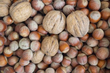 Bir çuval fındıkta üç ceviz.