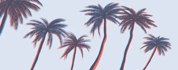 Palms Vector Gráfico Diseños Camisetas Carteles Impresiones — Archivo Imágenes Vectoriales