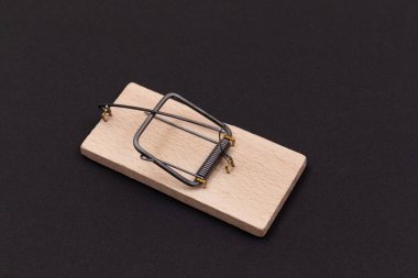 Tahta Fare Kapanı. Boş Dolu Fare Kapanı