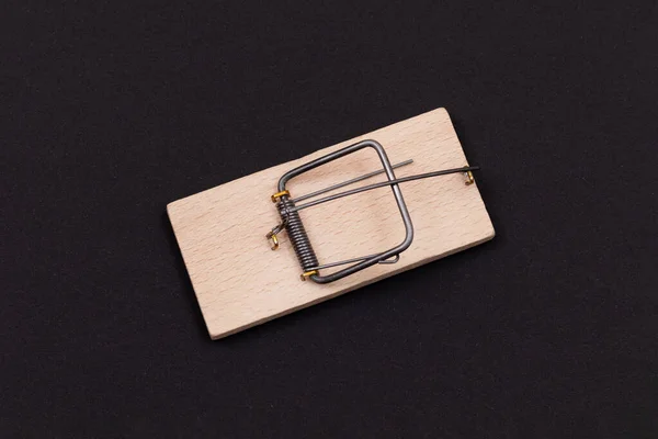 Armadilha de rato de madeira. Empty Loaded Mousetrap — Fotografia de Stock