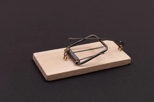 Armadilha de rato de madeira. Empty Loaded Mousetrap — Fotografia de Stock