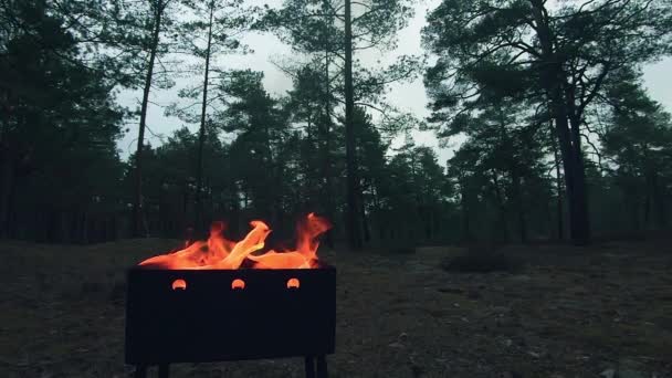 Burning Flame in the Brazier - Σούπερ αργή κίνηση — Αρχείο Βίντεο