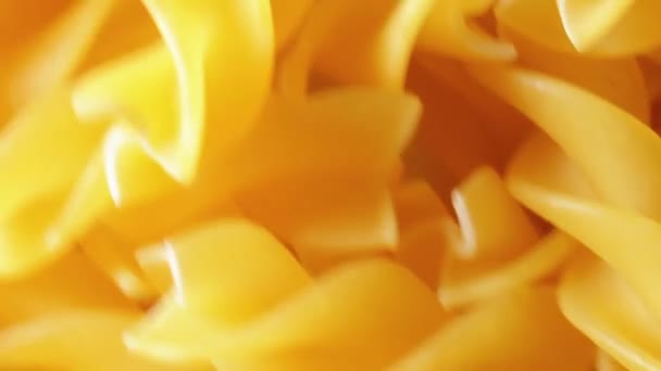 Невареная паста Fusilli в движении — стоковое видео