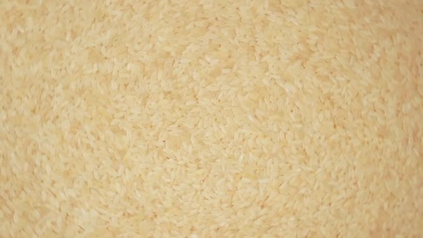 Arroz cocido de grano largo sin cocer, fondo giratorio - Vista superior — Vídeo de stock