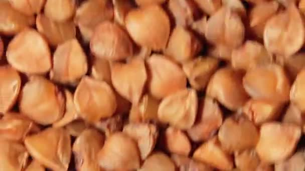 Grumos de trigo mourisco integral não cozidos, fundo em movimento - Visão superior — Vídeo de Stock