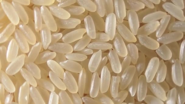 Arroz cocido de grano largo sin cocer, fondo giratorio - Vista superior — Vídeo de stock