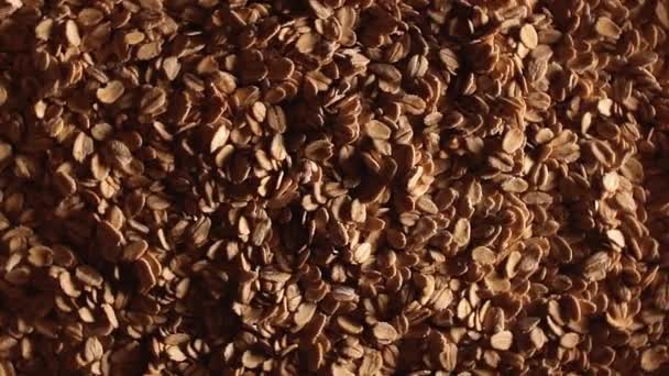 Oat Flakes, Rotating Background - Top View — Stock Video