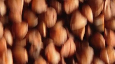 Pişmemiş Kahverengi Karabuğday Groats, Taşınan Arkaplan - Üst Görünüm