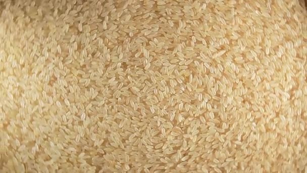 Niegotowany ryż parzony długoziarnisty, tło obrotowe - widok z góry — Wideo stockowe