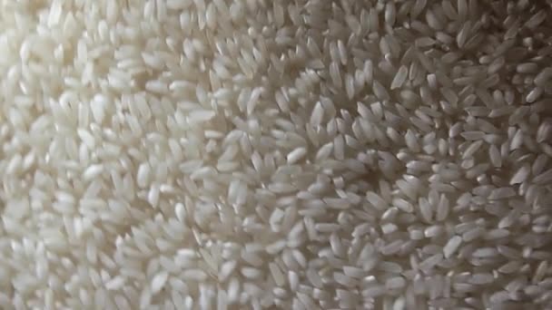 Άψητο Long Grain White Rice, Περιστρεφόμενο φόντο - Top View — Αρχείο Βίντεο
